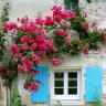 Cottage Place